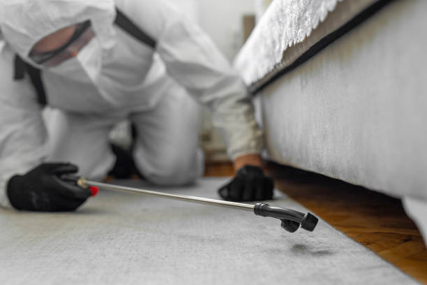 Professional Bed Bug Control technician working in Davis, OK